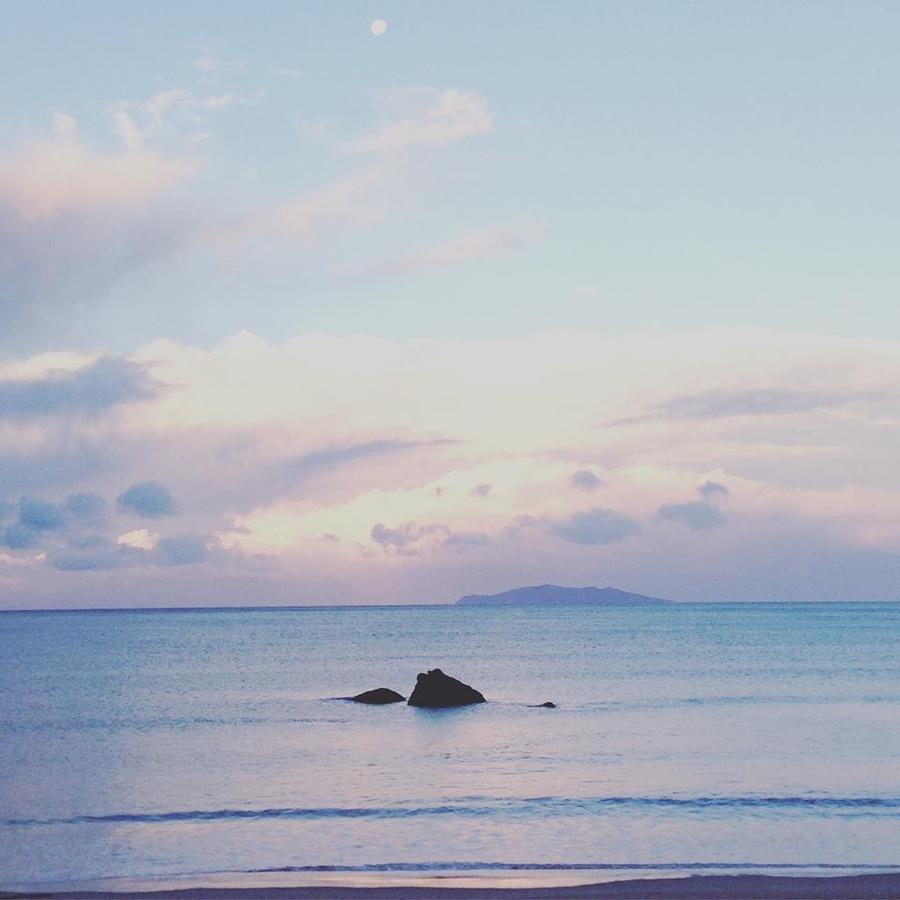 Estuary Retreat וונגאמאטה מראה חיצוני תמונה